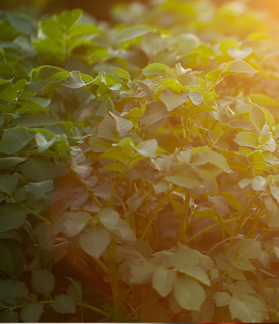 Logga In Lyckeby Logga In Lyckeby