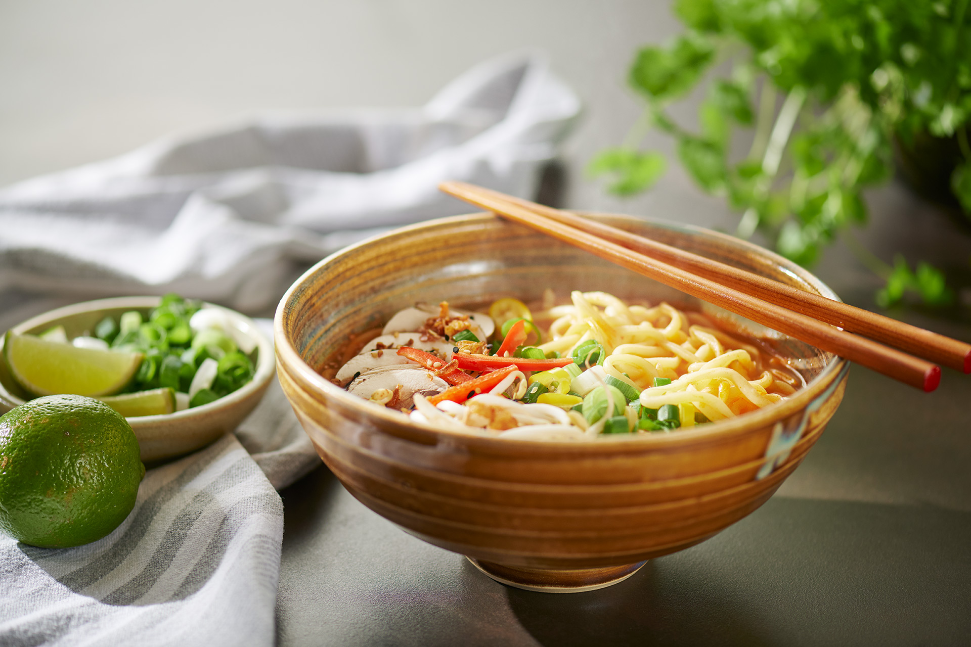 Rice Noodles